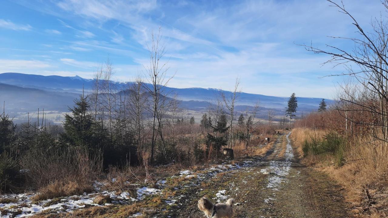Noclegi Różanka Radomierz Exterior foto